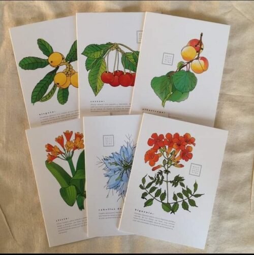 6 Botanical Note Cards